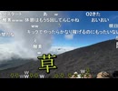 ミュート(弐号機)さん　虫が怖くて幻覚見えた？　【富士登山】