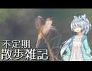 不定期散歩雑記_60 - 神戸川土手探鳥