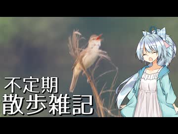 不定期散歩雑記_60 - 神戸川土手探鳥