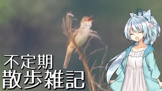 不定期散歩雑記_60 - 神戸川土手探鳥