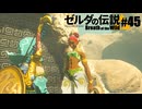 【ゆっくり実況】マスターモードで遊ぶブレワイ#45