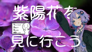 【シンプル車載動画投稿祭】ゆかり「紫陽花でも見に行こうかな」【VOICEROID車載】