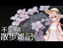 不定期散歩雑記_61 - 紫陽花
