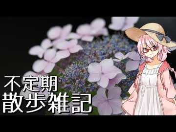 不定期散歩雑記_61 - 紫陽花