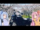 琴葉姉妹のぶっつけ佐賀/武雄花見旅行　withエリミネーター400SE【佐賀/武雄】