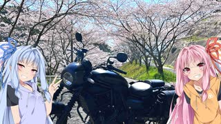 琴葉姉妹のぶっつけ佐賀/武雄花見旅行　withエリミネーター400SE【佐賀/武雄】