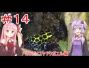 【#14】結月ゆかりとエキゾチックアニマル生活【バリアシリスヤドクガエル編】