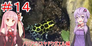 【#14】結月ゆかりとエキゾチックアニマル生活【バリアシリスヤドクガエル編】