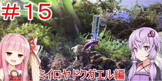 【#15】結月ゆかりとエキゾチックアニマル生活【ミイロヤドクガエル編】