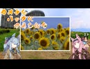 カメラをバッグにつめこんで-ひまわり