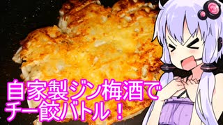 【焼きチーズ羽根餃子】ゆかりのふらっと隠れ家 第２期 ♭519【ハイボール祭り＆ST発酵食品祭2025】