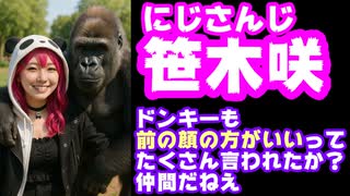 笹木咲、「前の顔のほうがいい」と言われてることを早速ネタにする【ガワ/しゃしゃ/パセリ/にじさんじ/えにから/ANYCOLOR/エニカラ/VTuber】