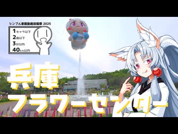 【シンプル車載動画投稿祭2025】くるま買っちまいましたわ！