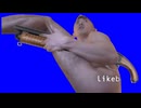 応戦アキラBB