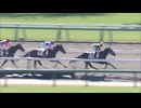 ライアーケイバー