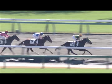 ライアーケイバー