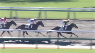 ライアーケイバー