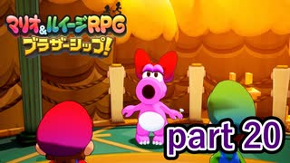 感動の再開かと思ったのにまさかのお前かよ！【マリオ&ルイージRPG ブラザーシップ！】実況プレイ part 20