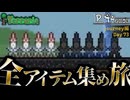 【全アイテム集め旅】ハンマーカンマー建築するヤツとひざ負傷するヤツの作業動画【テラリア】DAY73