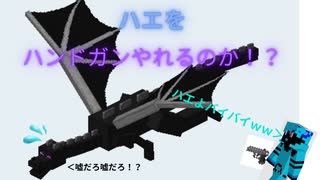 【検証】ハンドガンでマイクラのエンドラ討伐してみた！