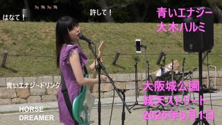 【大木ハルミ】青いエナジー 【リアルライブ】20250601