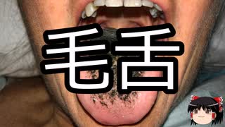 【ゆっくり朗読】ゆっくりさんと不思議な病気 その718