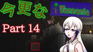 【Terraria】今更なテラリア　その14