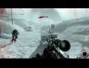 ブラックオプス淫夢　MP14