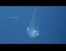 マリンスノー/KAITO &MEIKO