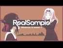 Whatever it Samples