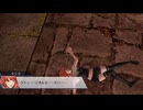 【ファイアーエムブレム無双】【リョナ】【セリカ】 ペガサスナイトにやられるだけPart１３