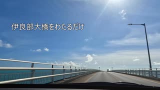 伊良部大橋わたるくん