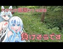 2025年7月21日　農作業日誌P1428　草刈もしていたけど、もうすぐアイドール東京なので準備もしているよ
