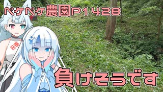 2025年7月21日　農作業日誌P1428　草刈もしていたけど、もうすぐアイドール東京なので準備もしているよ
