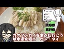 カオマンガイを食べに行こう！岐阜県大垣市　ピン・タイ　【シンプル車載動画投稿祭　2025】【岐阜県旅行祭】