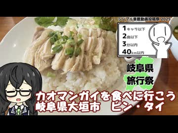 カオマンガイを食べに行こう！岐阜県大垣市　ピン・タイ　【シンプル車載動画投稿祭　2025】【岐阜県旅行祭】