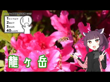 虫と戯れに龍ヶ岳へ【シンプル車載動画投稿祭2025遅刻】