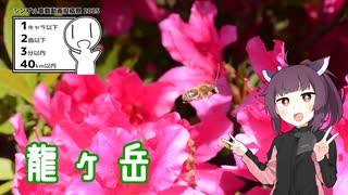 虫と戯れに龍ヶ岳へ【シンプル車載動画投稿祭2025遅刻】