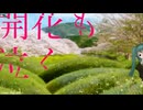 開花も泣くfeat. 初音ミク