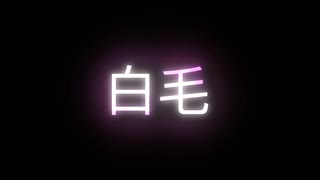 白毛の美少女？