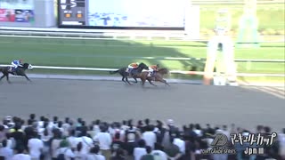第29回マーキュリーカップ カズタンジャー