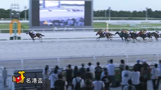 第29回名港盃 サンテックス