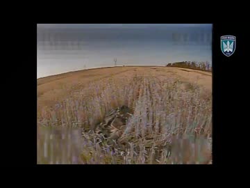 ホモと見る介錯してあげるウクライナドローン