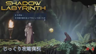 【SHADOW LABYRINTH】第4回　大樹を抜けろ　じっくり攻略実況　シャドウラビリンス