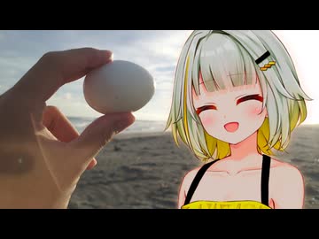 潮風で塩味はつくのか？【VOICEROID/紡乃世詞音】