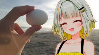 潮風で塩味はつくのか？【VOICEROID/紡乃世詞音】