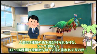 【ずんだもん解説】シャコのパンチが水を沸騰させる！？驚異の海の殺し屋【ずんしる茶番雑学】