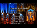 Canticum Novum(Ivo Antogniniの宗教曲より）
