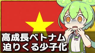 ベトナムでも少子高齢化が問題になっている件について