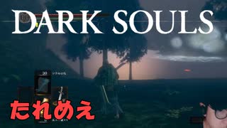 【たれめえのダークソウル配信】狭間の森を探索する 2025年6月